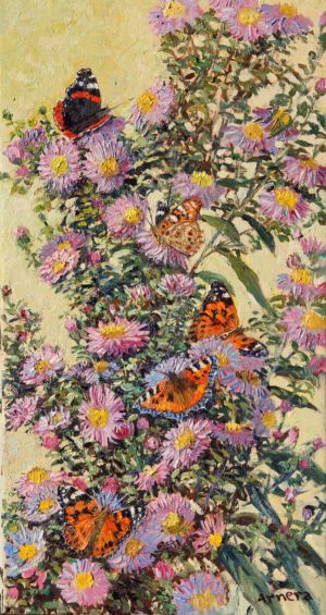 Fleurs de papillons dans les asters Arnera Catherine